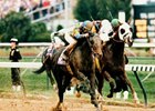 Concern in the 1994 Breeders' Cup Classic.
<br><a target="blank" href="http://photos.bloodhorse.com/Classics/Classic-Photos/i-gGcVqTv">Order This Photo</a>