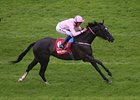 The Fugue Cruises in Irish Champion Stakes The Fugue Cruises in Irish Champion Stakes