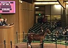 Hip 1005, a yearling colt by Into Mischief, brought $150,000.