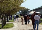 The Fasig-Tipton Florida Sale.