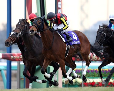 Gentildonna brought a fitting close to her illustrious racing career in scoring an impressive win in the $3.45 million Arima Kinen (Jpn-I), Japan's season-ending all-star race at Nakayama Racecourse.
