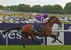 St Nicholas Abbey takes the Coronation Cup for the third year in a row.<br><a target="blank" href="http://photos.bloodhorse.com/AtTheRaces-1/at-the-races-2013/27257665_QgCqdh#!i=2547808452&k=RmZwgtH">Order This Photo</a>