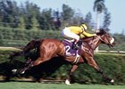 Hall of Fame: Lure Lives On Hall of Fame: Lure Lives On
