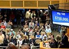 Hip 105, an Indian Charlie colt, sold for $750,000.