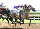 Kobe's Back rolls late to take the Commonwealth Stakes.