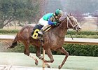 Far Right wins the Southwest Stakes.