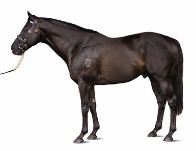 Lonhro
