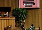 Coolmore Gets War Front Colt for $1 Million Coolmore Gets War Front Colt for $1 Million