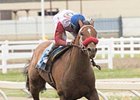 Broadway Empire is the 2-1 favorite in the Canadian Derby.