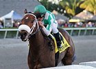 Merry Meadow Returns in Princess Rooney Merry Meadow Returns in Princess Rooney