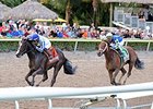 Itsaknockout (right) finishes second to Upstart in the Fountain of Youth, but is awarded the win.<br><a target="blank" href="http://photos.bloodhorse.com/AtTheRaces-1/At-the-Races-2015/i-5k6H4RJ">Order This Photo</a>