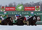 Winter racing at Turfway Park