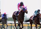 Meisho Mambo wins the Yushun Himba (Jpn-I, Japanese Oaks) at Tokyo Racecourse on May 19, 2013.