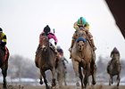 El Kabeir in the Gotham Stakes.
<br><a target="blank" href="http://photos.bloodhorse.com/AtTheRaces-1/At-the-Races-2015/i-6FbhvfQ">Order This Photo</a>