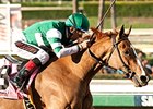 Stellar Wind