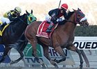 Dads Caps
<br><a target="blank" href="
http://photos.bloodhorse.com/AtTheRaces-1/At-the-Races-2015/i-rVfx4gK">Order This Photo</a>