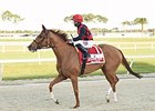 Matchmaker Offers Intriguing Matchup Matchmaker Offers Intriguing Matchup