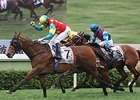 Ambitious Dragon in the 2011 QE II Cup.