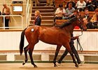 Lot 70, a Canford Cliffs colt, was sold for 300,000 guineas ($463,084) to top the April 15 opening day of the Tattersalls Craven breeze-up sale.
