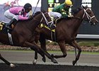 Chris' Brew, Galina Point Top Woodbine Stakes Chris' Brew, Galina Point Top Woodbine Stakes