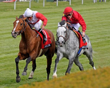 Data Link, with Alex Solis up, wins the Maker's 46 Mile (gr. IT) at Keeneland on April 13, 2012, in Lexington, KY.