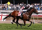 Polanski Gives Jockey Third Victoria Derby Polanski Gives Jockey Third Victoria Derby