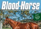 New Sires of 2014 New Sires of 2014