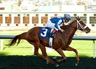 El Camino Real Derby Tops Golden Gate Stakes El Camino Real Derby Tops Golden Gate Stakes
