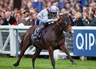 Olympic Glory comes home strong to take the QIPCO Queen Elizabeth II Stakes.
<br><a target="blank" href="http://photos.bloodhorse.com/AtTheRaces-1/at-the-races-2013/27257665_QgCqdh#!i=2843972429&k=6J388HT">Order This Photo</a>