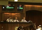 Hip 572, a colt by Bernardini, was purchased for $900,000.