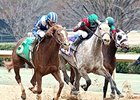 Mufajaah (left) won the Bayakoa Stakes by a neck on Feb. 18.
