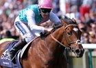 Tom Queally aboard Frankel in 2011