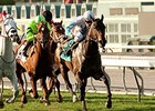 Avanzare rolls to victory in the Arcadia Stakes.