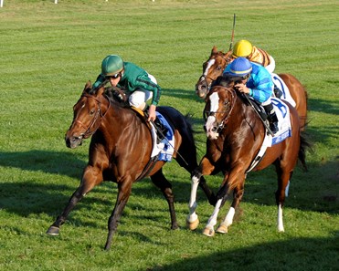 Gio Ponti, with Ramon Dominguez, wins the Shadwell Mile (gr. IT) at
Keeneland on Oct. 8, 2011.