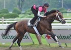 Palace Malice works 8/18/2013.
<br><a target="blank" href="http://photos.bloodhorse.com/AtTheRaces-1/at-the-races-2013/27257665_QgCqdh#!i=2708247058&k=JKW56XW">Order This Photo</a>