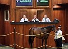 Hip 285, a colt by Bernardini, brought $1.4 million to top the session.