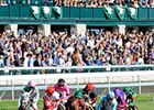Horse Racing