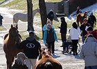 Keeneland's January sale begins Monday, January 12.