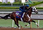 Baffert Impressed with Fast Anna's Drill Baffert Impressed with Fast Anna's Drill