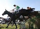 Many Clouds Takes Jockey to 2nd National Win Many Clouds Takes Jockey to 2nd National Win