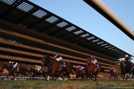 In an exhilarating finish to the 33rd renewal of the Japan Cup (Jpn-I), filly Gentildonna nosed out another filly, Denim and Ruby, Nov. 24, 2013 at Tokyo Race Course to become the first to win the prestigious event twice.