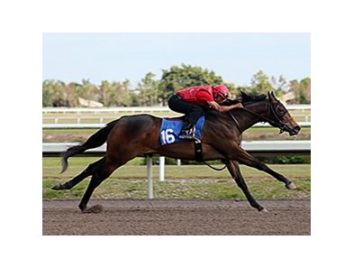 Barbara Banke's Stonestreet Farm landed a Malibu Moon filly, hip 16, for $625,000.