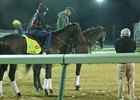 Orb and Shug McGaughey.