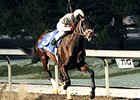 Royal Son wins the 2015 John Battaglia Memorial Stakes.