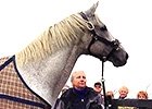Michael Blowen on Silver Charm's Return Michael Blowen on Silver Charm's Return