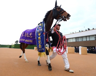 Gentildonna wins the 2014 Arima Kinen.