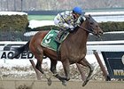 Salutos Amigos wins his fourth straight stakes in the Tom Fool.<br><a target="blank" href="http://photos.bloodhorse.com/AtTheRaces-1/At-the-Races-2015/i-MQKF72V">Order This Photo</a>