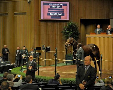 Hip 427, Royal Delta, brings $8.5 million at the Keeneland Sales, November 8, 2011.