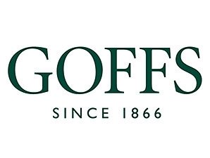 Rag Top Headlines Goffs Sale Rag Top Headlines Goffs Sale