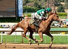 Stellar Wind 7-2 Choice for Oaks Stellar Wind 7-2 Choice for Oaks
